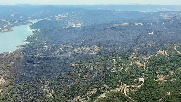 Çevre, Şehircilik ve İklim Değişikliği Bakanı Mehmet Özhaseki'de Çanakkale yangını açıklaması-2