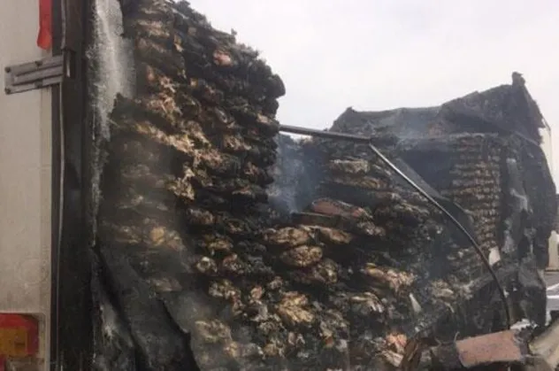 Son dakika: Şanlıurfa'da tavuk eti yüklü TIR alev alev yandı