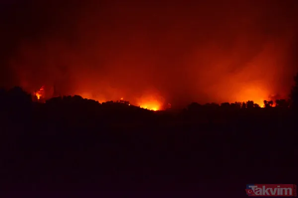 Antalya Manavgat'ta yangın felaketi! Acı haber geldi: 3 kişi hayatını kaybetti - 34
