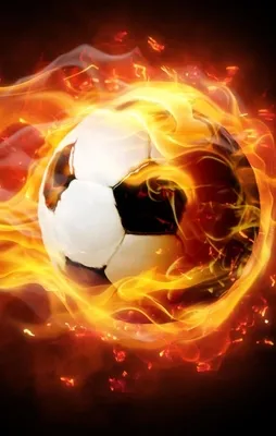 İşte UEFA'nın G.Saray kararı!