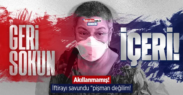 Şebnem Korur Fincancı'dan bir skandal daha! TSK'ya iftirasını savundu: Pişman değilim