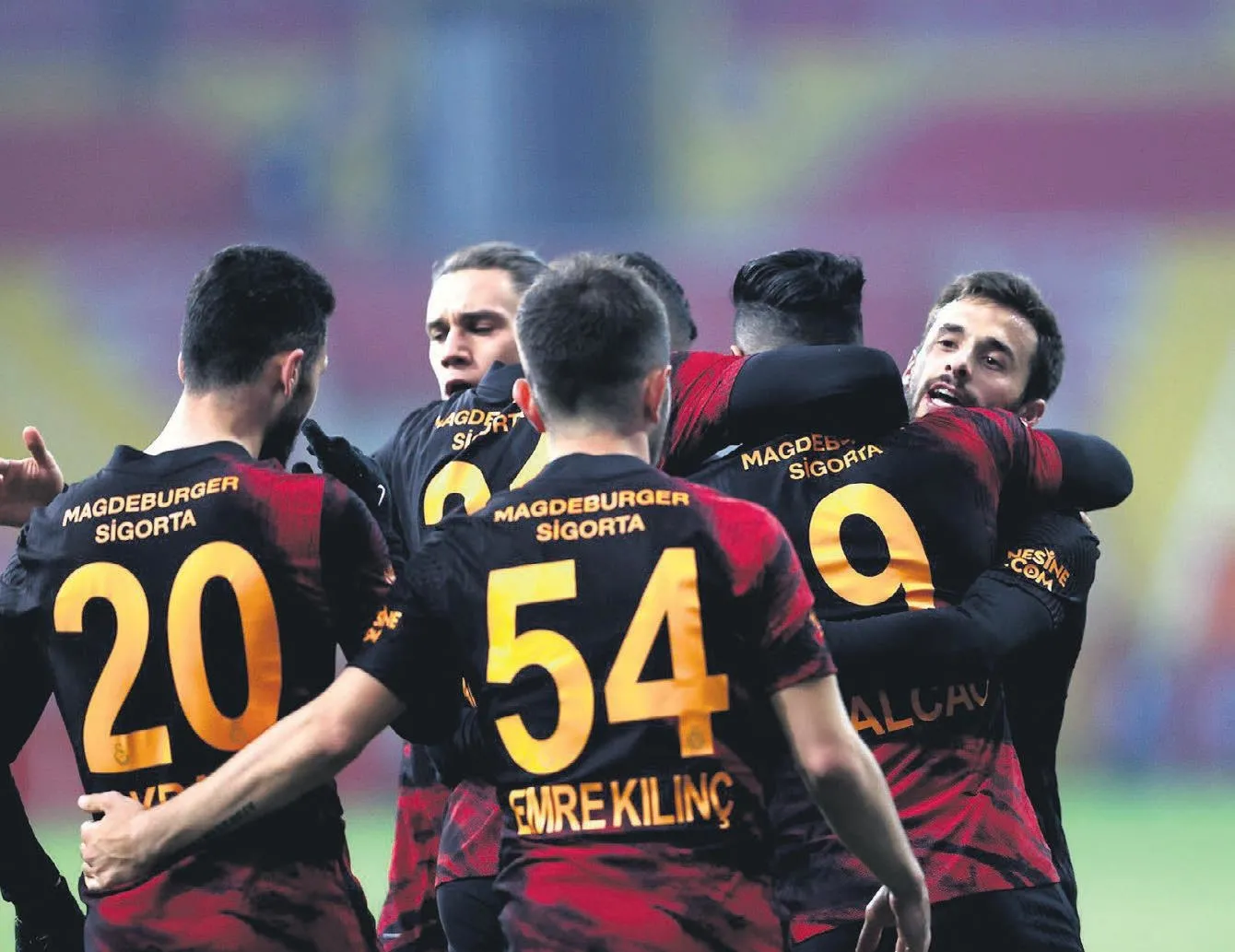 Aslan hayata döndü