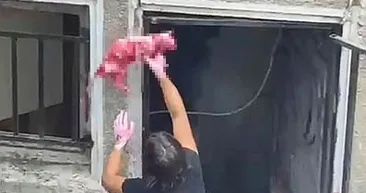 İstanbul Şişlide kan donduran olay! Ölü kediyi boyayıp evinin demirlerine astı