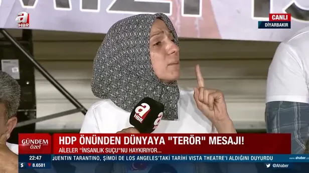 diyarbakir-annesi-aysegul-bicerin-feryadi-bir-agac-icin-dunyayi-yakan-sanatcilar-neredesiniz-1625948430865.jpg Diyarbakır Annesi Ayşegül Biçer’in feryadı: Bir ağaç için dünyayı yakan sanatçılar neredesiniz?-1