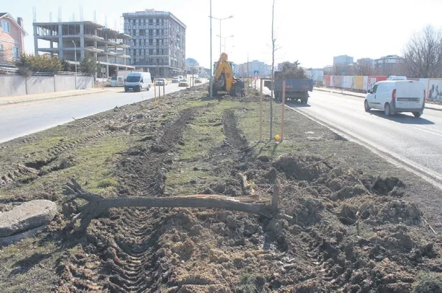 Bir ağaç katliamı da Tekirdağ’da! CHP'li belediye 100'e yakın ağacı sebepsiz yere söktü