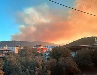 Mersin’de orman yangını! 30 ev tahliye edildi