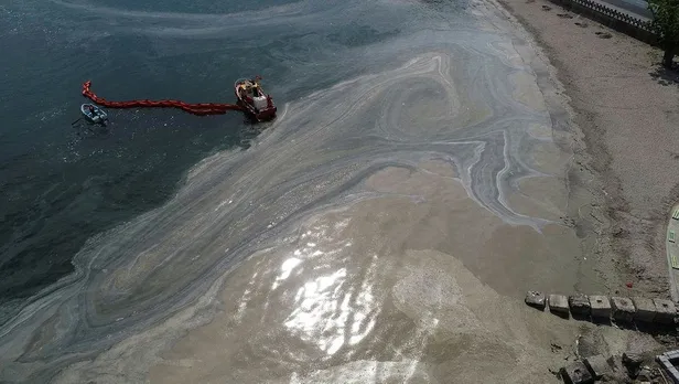 Son dakika: Müsilaj sorunu ile ilgili Meclis Araştırması Komisyonu kuruldu-2