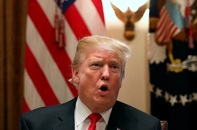 Donald Trump'ın akıl hocası Roger Stone gözaltına alındı