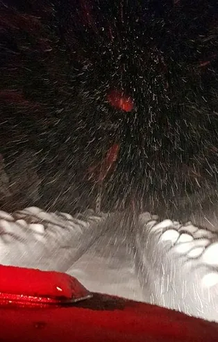 Son dakika: Adana Pozantı'da çığ felakati!