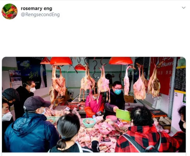 İngiliz Guardian'dan şoke eden makale: KOVID-19 daha başlangıç!-9