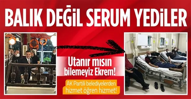 Son dakika: İstanbul’u kar esaretine mahkum eden CHP’li Ekrem İmamoğlu’na AK Partili belediyeden balık göndermesi