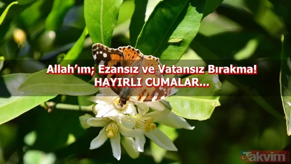 Cuma mesajları 2018: Resimli ve kısa cuma mesajları ile sevdiklerinizin cumasını kutlayın! Hayırlı Cumalar - 13