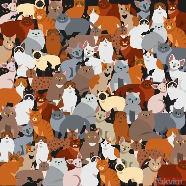 Bulmacayı Çözmek İçin Hazır Mısınız? Gizli Kediyi Bulmak İçin Yalnızca 5 Saniyeniz Var! Hadi Bakalım, Gözlerinizi Dört Açın Ve Siyah Kediyi Bulmaya Çalışın...