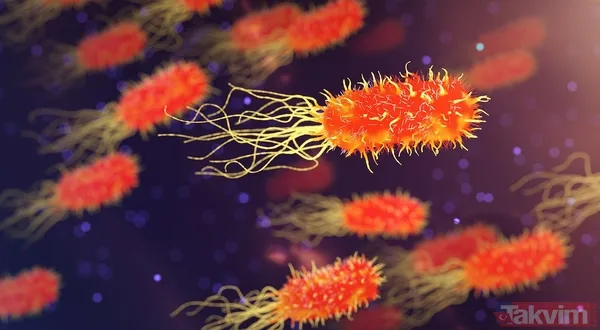 Bağırsak tıkanıklığına dikkat! 10 kilo atık birikebilir! İşte kolonu tertemiz yapma yöntemi - 6