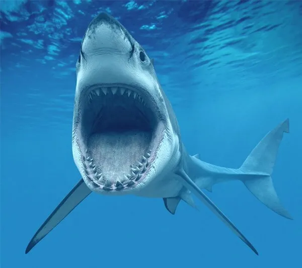 Koronavirüs aşısı ile ilgili kan donduran açıklama! Bir doz için 250 bin...-5