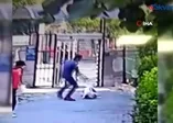 Küçükçekmece'de pitbull cinsi köpeğin saniyeler içinde kediyi parçalama anları kamerada