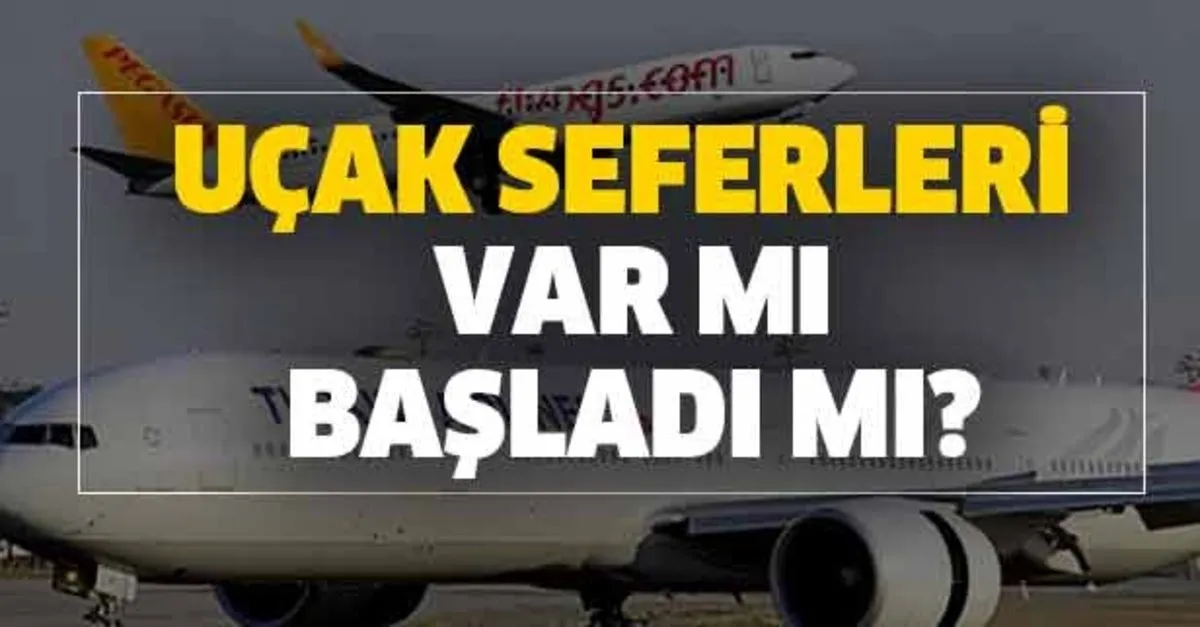 Thy Ve Pegasus Sehirler Arasi Ucus Yapacak Mi Ucak Seferleri Var Mi Basladi Mi Takvim