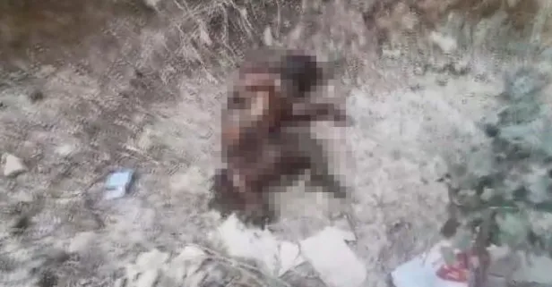 Bursa’da vahşet dolu olay! Ayaklarını kestikleri yavru köpeği yakıp, yol kenarına attılar
