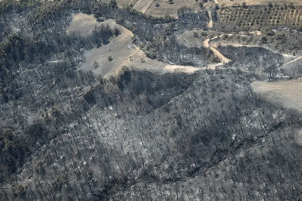 Çevre, Şehircilik ve İklim Değişikliği Bakanı Mehmet Özhaseki'de Çanakkale yangını açıklaması-3