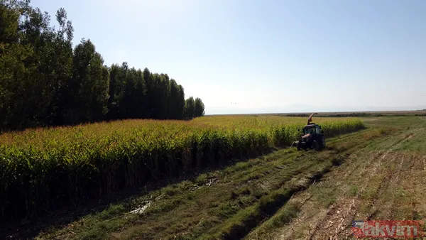 Bir zamanlar Van Denizi'ydi! Sular çekildi tarım alanı oldu - 9