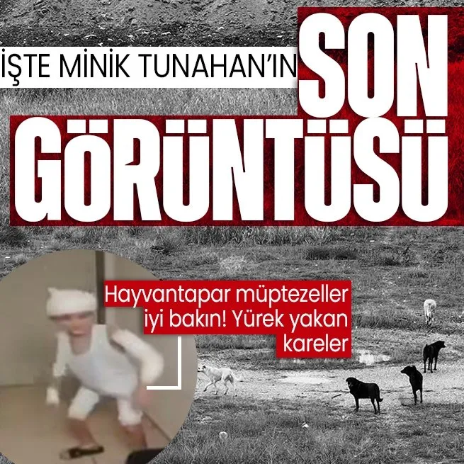 Son dakika: Ankarada başıboş köpeklerin saldırdığı Tunahan Yılmazın son görüntüsü yürekleri burktu!
