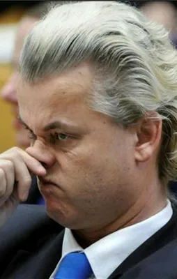 İslam düşmanı Wilders iyice kudurdu