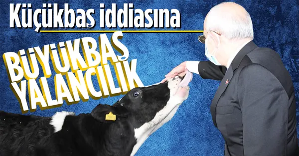 CHP Genel Başkanı Kemal Kılıçdaroğlu'nun "Katar’a 2,5 milyon küçükbaş hayvan sattılar" yalanına Ticaret Bakanlığı'ndan açıklama-1