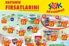 3 Aralık ŞOK aktüel indirimli ürünler listesi: ŞOK aktüel ürünler kataloğu yayımlandı!