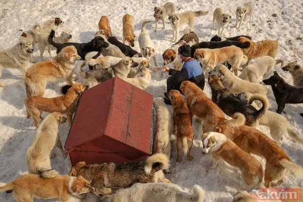 SON DAKİKA: PKK'yı HDP'yi rahatsız eden fotoğraf! Yüksekova'nın eski halinden eser yok - 16