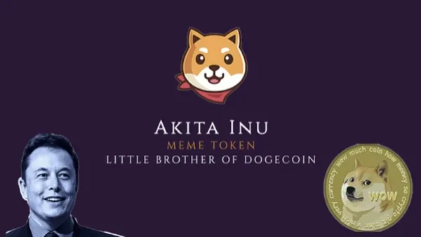akita-coin-nedir-akita-coin-nasil-alinir-akita-binance-gelecek-mi-1620742510861.jpeg