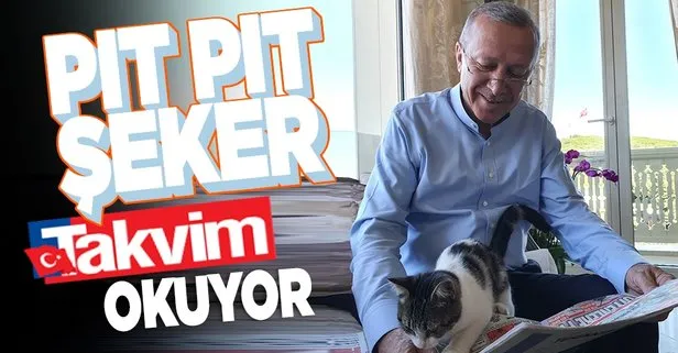 Başkan Recep Tayyip Erdoğan torunu Aybike’nin kedisi Pıt Pıt Şeker ile Takvim gazetesini okuduğu anları paylaştı