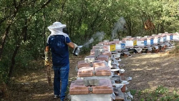 Litresi 2 bin 500 lira ama talebe yetişemiyor! Patlama yaşandı paraya para demiyor!-2