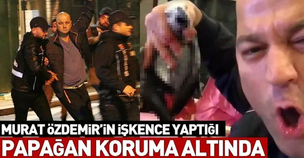 Murat Özdemir’in işkence görüntüleri ortaya çıktı! Papağan koruma altında