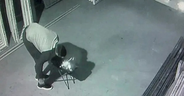 Mangal yapmak için aldıkları iki kilo pirzolayı köpeğe kaptırdılar: Eti hayal ederek patlıcan yedik... O anlar kamerada