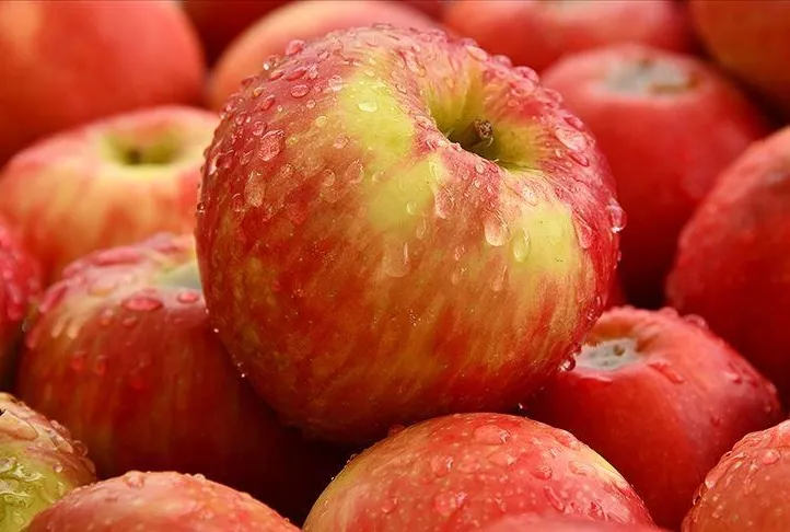 Alzheimer’a bir elma!