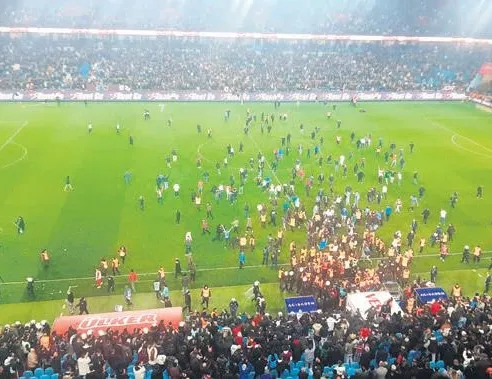 Stada kaçak girmiş!