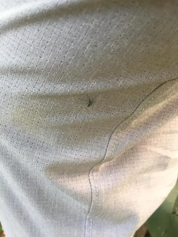 SON DAKİKA: Elmalı Barajı'nda korkutan görüntü: Son 10 yılın en düşük seviyesi! Uzmanlar 'sivrisinek' tehlikesine karşı uyardı-7