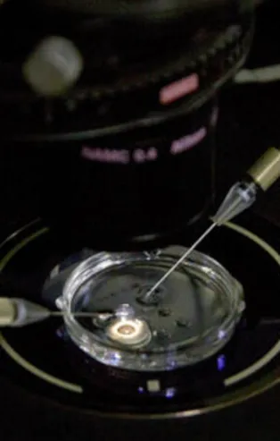 Dünya Çin'deki bu skandalı konuşuyor! Onlarca kişiye hastalık bulaştı