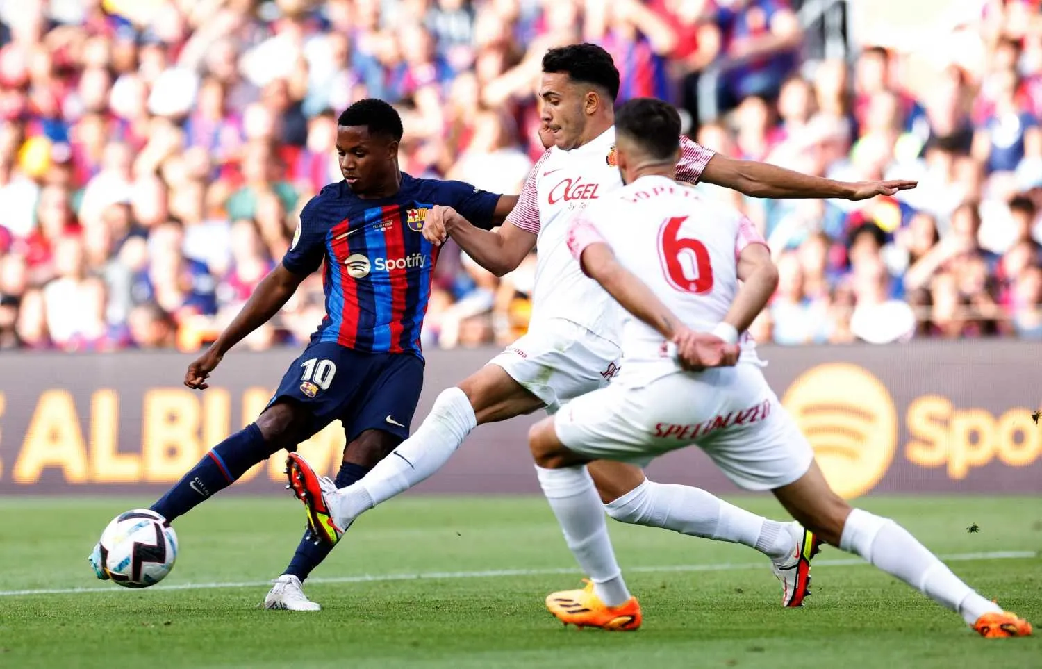 Fenerbahçe'ye transferde çifte kötü haber! - 12