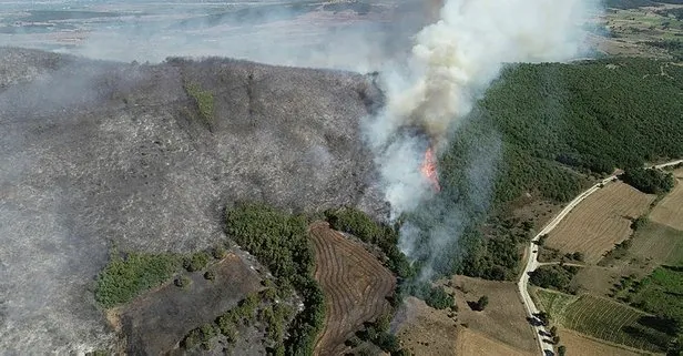 Bursa’da orman yangını