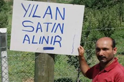 Yılan satın alıyor