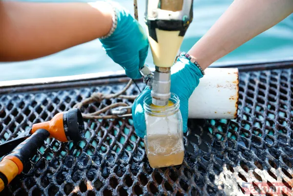 TÜBİTAK gemisi Marmara'ya açıldı! Bilim insanları raporları: Sonuçlar korkutucu - 16