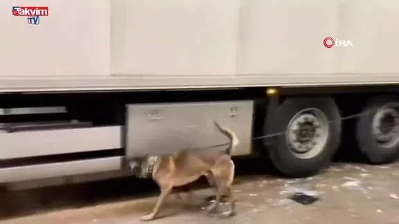 Bakan Yerlikaya duyurdu: Uluslararası operasyonda 31 kilo kokain ele geçirildi