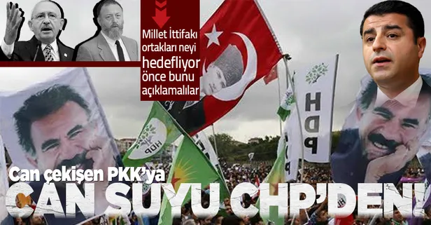 Sabah gazetesi yazarı Şebnem Bursalı: Can çekişen PKK'ya cansuyu CHP'den!