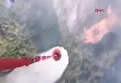 Balıkesir'de orman yangını