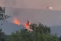 Şarköy'de orman yangını sabaha kadar sürdü