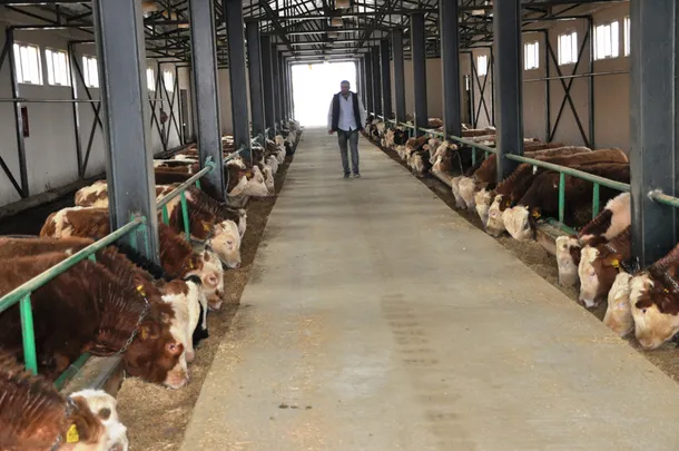 TKDK'den aldığı hibe desteğiyle çiftlik kurdu-2