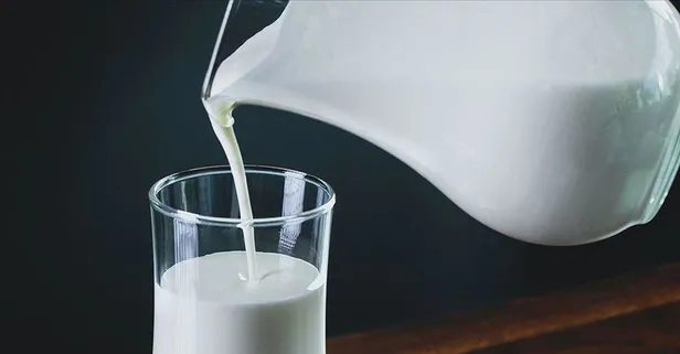 Güçlü kemikler ve sağlıklı vücudun sırrı sütte!