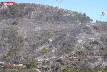 Alanya'da 10 saat süren yangın!