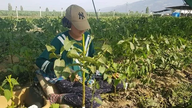 Aylik Kazanci Dudak Ucuklatiyor Hayatta Hicbir Sey Icin Gec Degil 68 Yasinda Kurs Aldi Dunyaya Satiyor Takvim